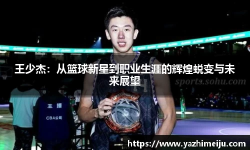 辉达娱乐