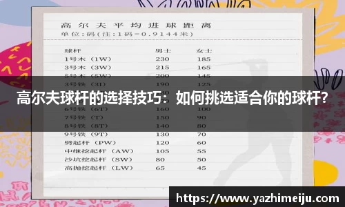 辉达娱乐